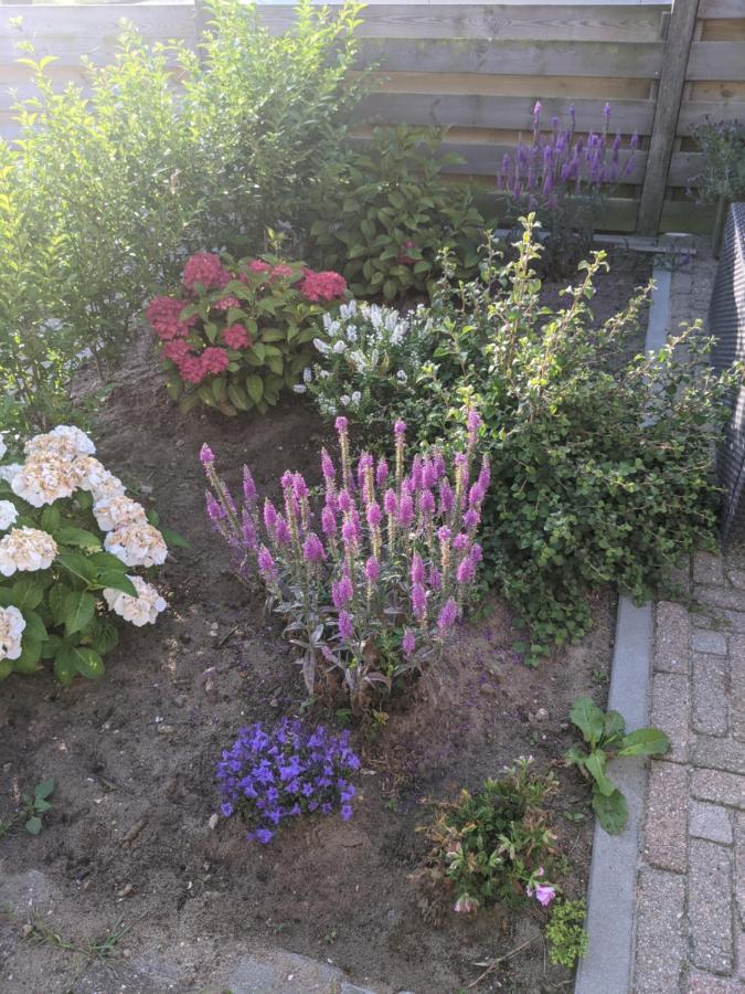 Oosterend  Logies21 Texel B&B 외부 사진